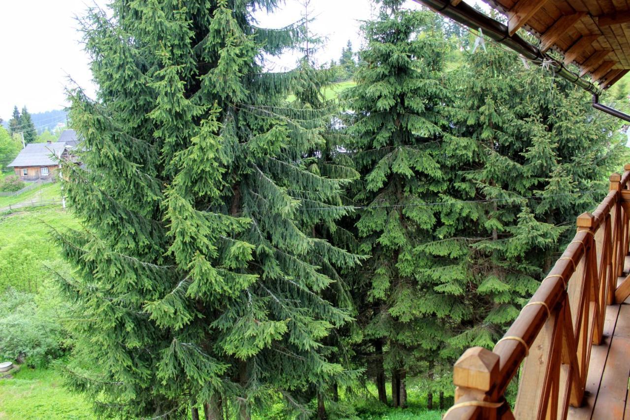 "Лісова Ягода" يابلونيتسيا المظهر الخارجي الصورة